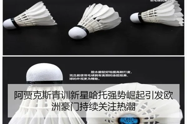 阿贾克斯青训新星哈托强势崛起引发欧洲豪门持续关注热潮